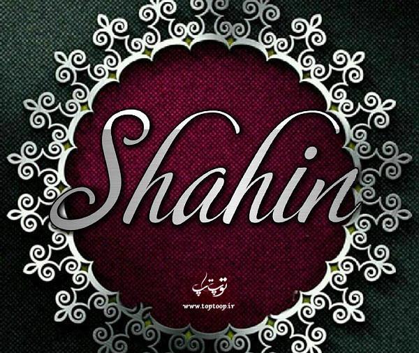 عکس نوشته کلمه شاهین
