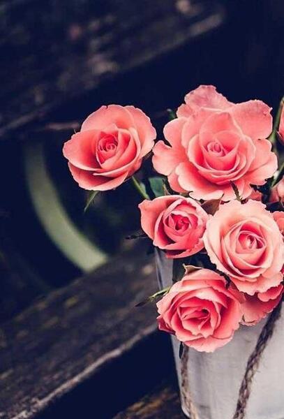 عکس گل های زیبا در اینستاگرام