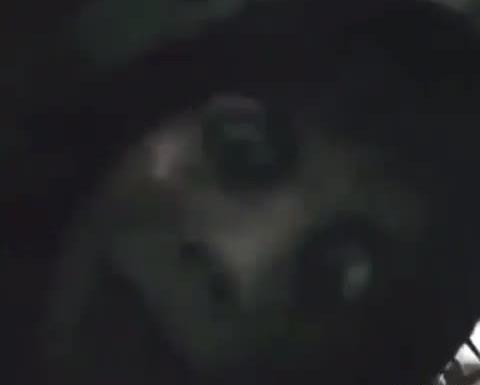 عکس مومو نماشا