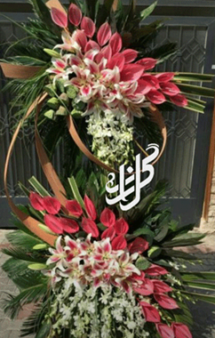 عکس گل آرمیتا