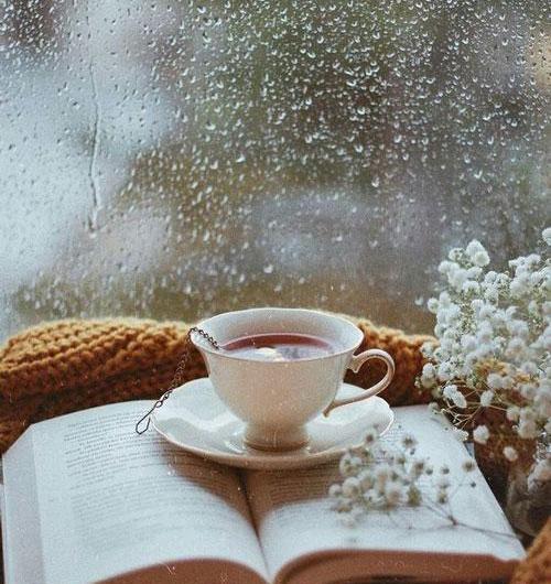 عکس زیبا صبحگاهی