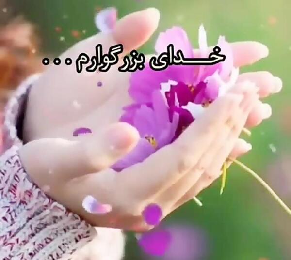 عکس زیبا صبحگاهی