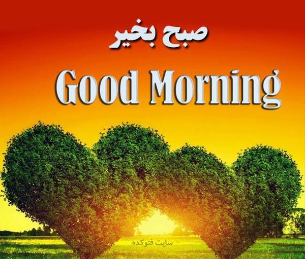 عکس زیبا صبحگاهی