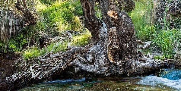 عکس تصاویر زیبای طبیعت خرم اباد