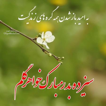عکس نوشته رفیق سیزده بدر مبارک
