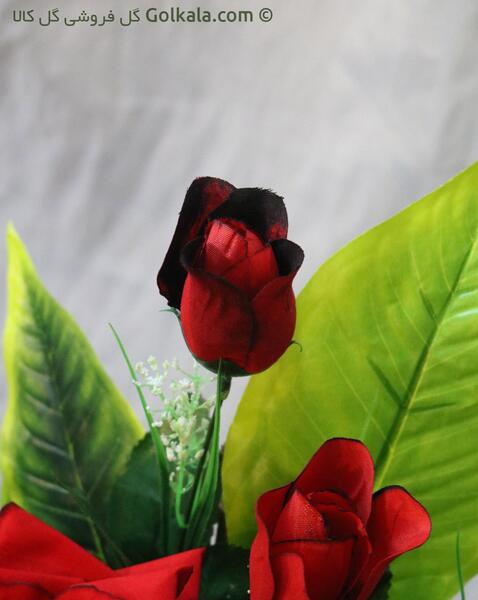 عکس گل رز قرمز غنچه