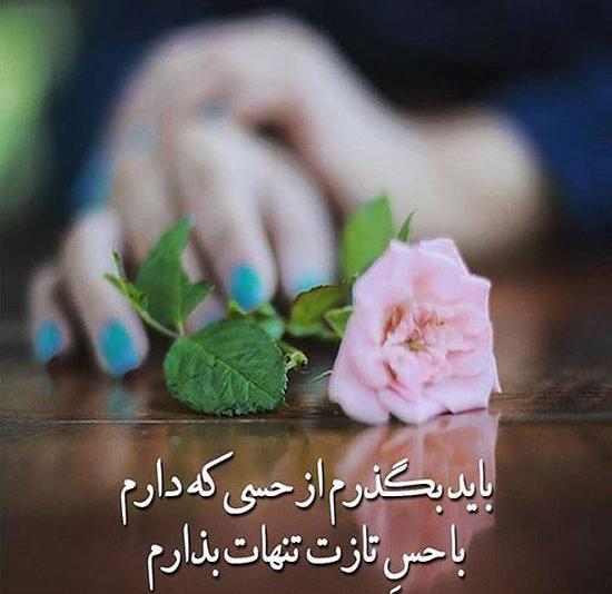 عکس نوشته های عباس معروفی