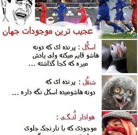عکس ضد پرسپولیسی خنده دار