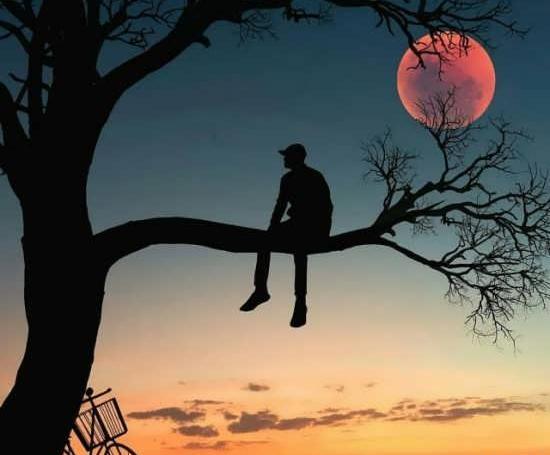 عکس پروفایل پسرانه طبیعت