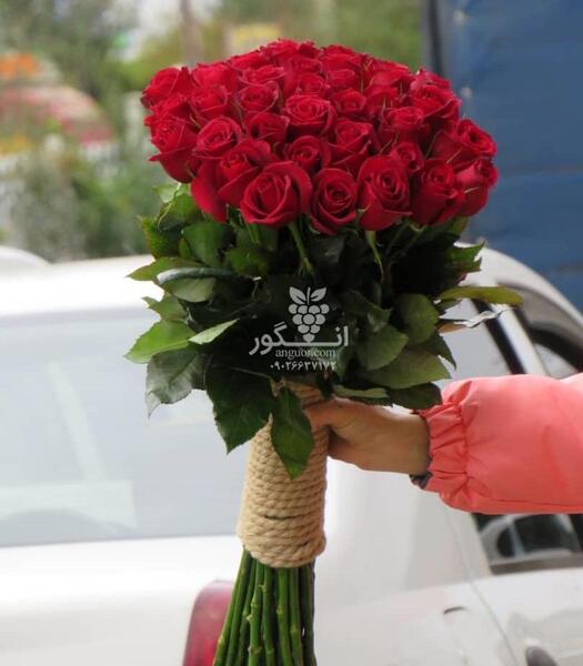 عکس شاخه گلهای زیبا