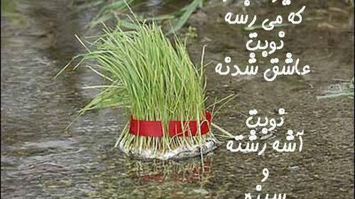 دانلود عکس پروفایل روز طبیعت