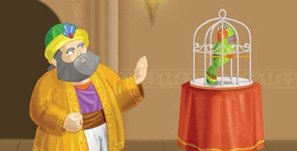 عکس حکایت طوطی و بقال