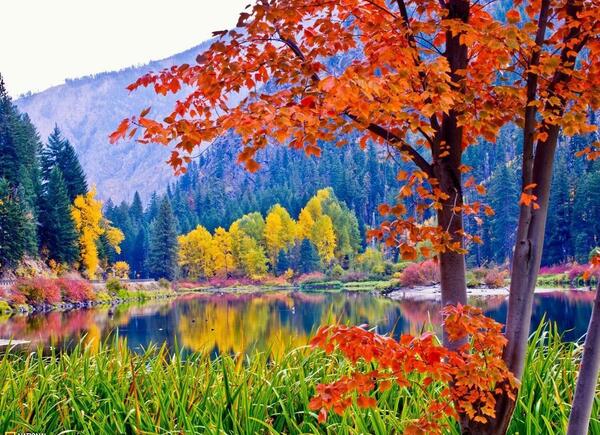 عکس منظره فصل پاییز