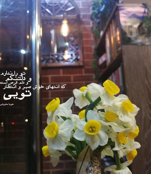 عکس گل نرگس و امام زمان