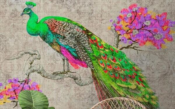 عکس طاووس طلا