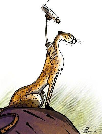 عکس کارتونی یوزپلنگ ایرانی