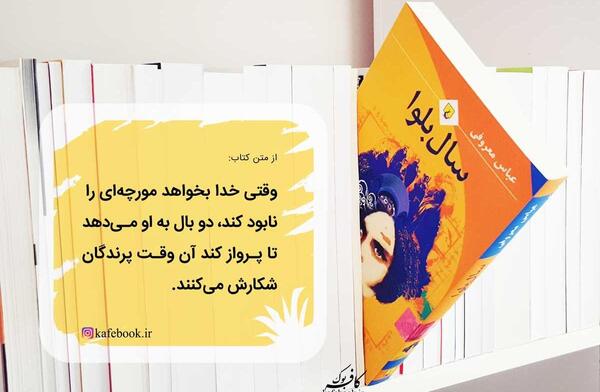 عکس نوشته هایی از عباس معروفی