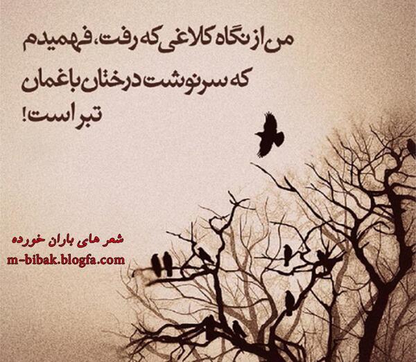 عکس نوشته هایی از عباس معروفی