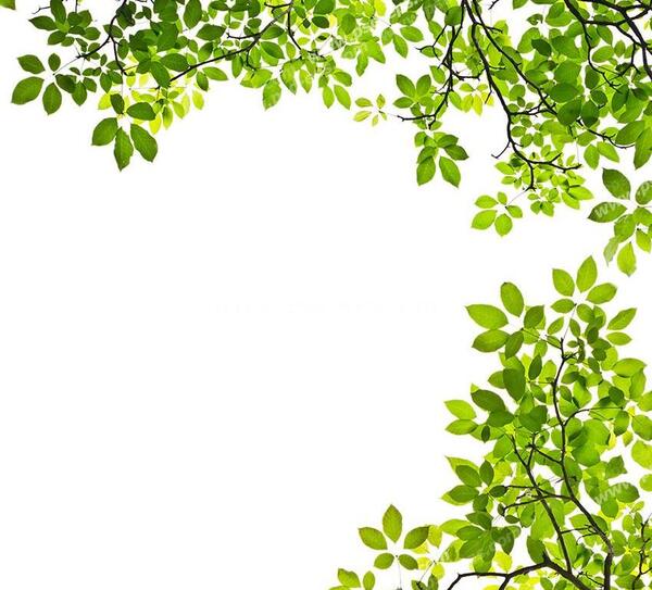 عکس صفحه سفید با کیفیت