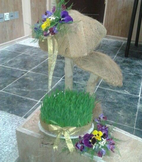 عکس سبزه ی عید واقعی