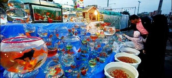 عکس هفت سین کرونایی