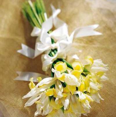 عکس دسته گل نرگس برای عروس