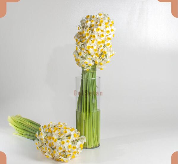 عکس دسته گل نرگس برای عروس