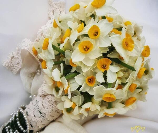 عکس دسته گل نرگس برای عروس