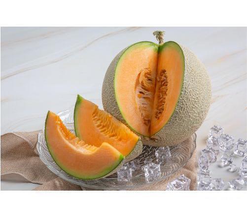 عکس کارتونی طالبی