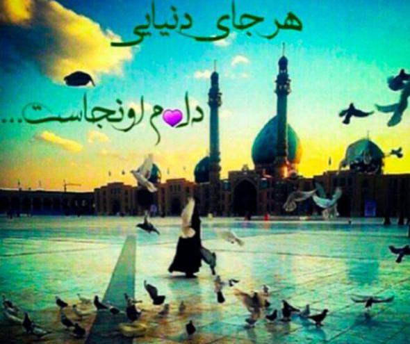 عکس گل نرگس و مسجد جمکران