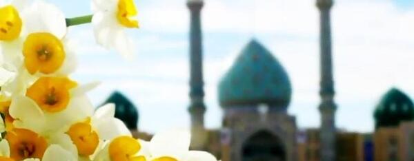 عکس گل نرگس و مسجد جمکران