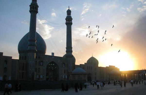 عکس گل نرگس و مسجد جمکران