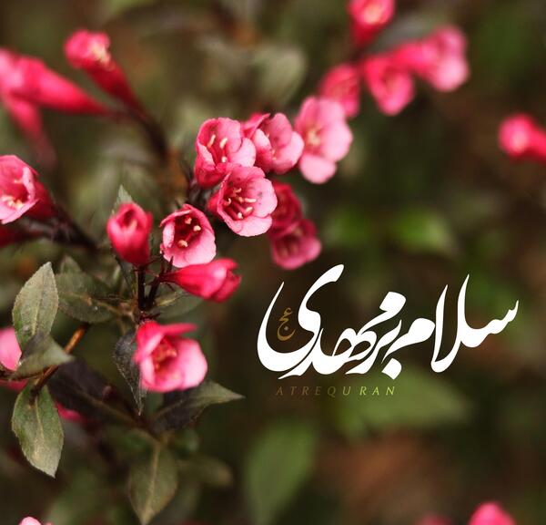 عکس نوشته سلام مهدی جان