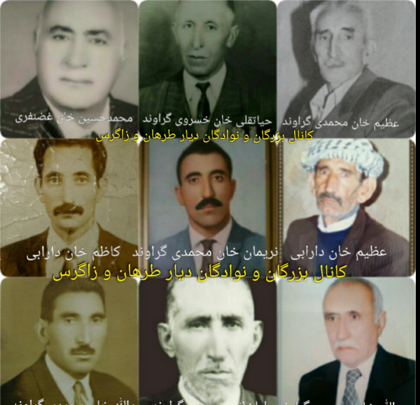 عکس امیر حسین گراوندی