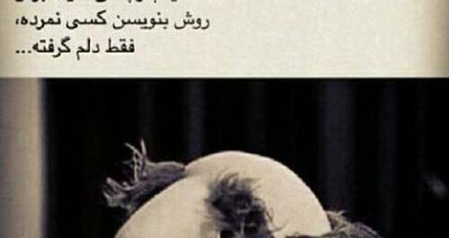 عکس خدا دمت گرم