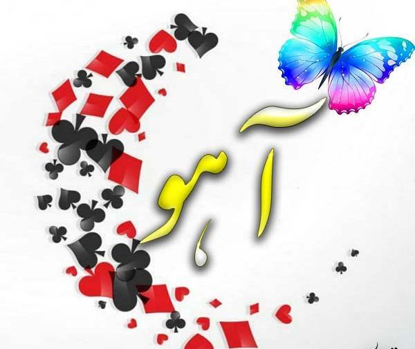 عکس گرافیکی آهو