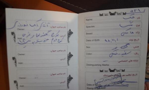 عکس شناسنامه سگ ژرمن شپرد
