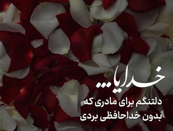 عکس تولد مادر فوت شده