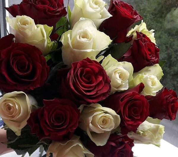 عکس دسته گل قرمز و سفید