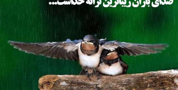عکس نوشته های باران بهاری