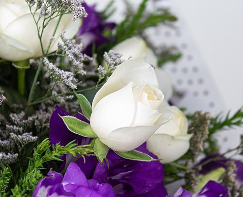 عکس های گل تینا