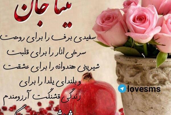 عکس های گل تینا