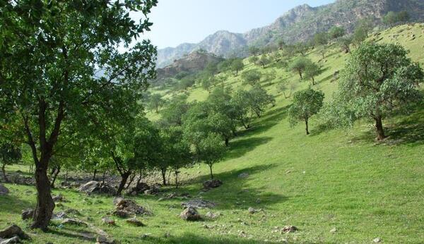 عکس از طبیعت لردگان