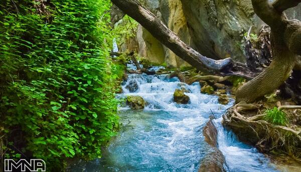 عکس از طبیعت لردگان