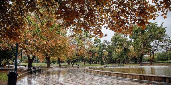 عکس باران طبیعی