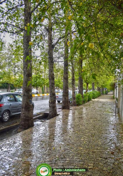 عکس باران طبیعی