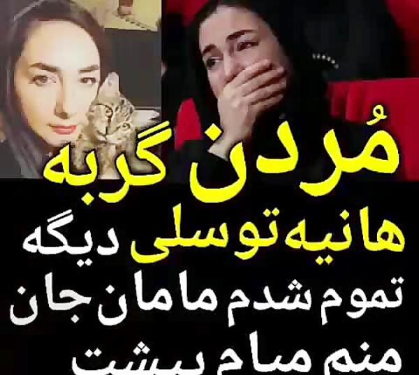 عکس هانیه توسلی و گربه اش
