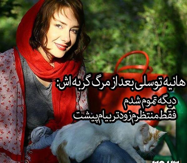 عکس هانیه توسلی و گربه اش