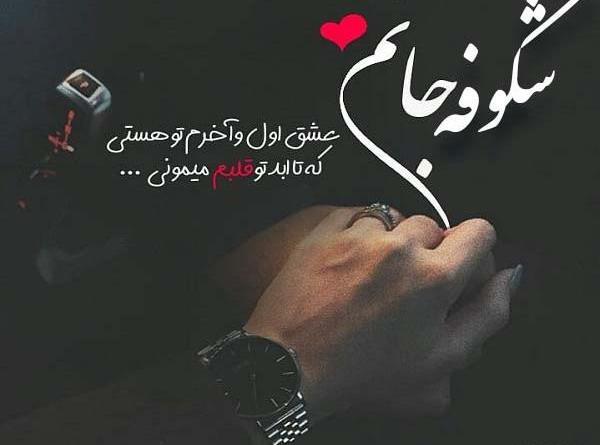 عکس پروفایل با نوشته شکوفه