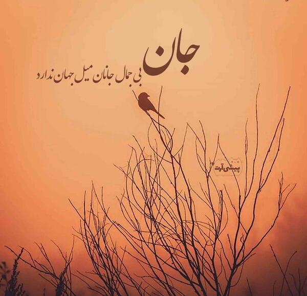 عکس پروفایل جان جانان